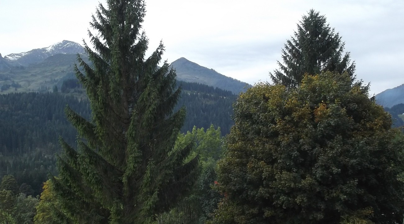 Wochenendhaus Kaufen Vogesen